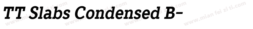 TT Slabs Condensed B字体转换
